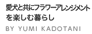 愛犬と共にフラワーアレンジメントを楽しむ暮らし