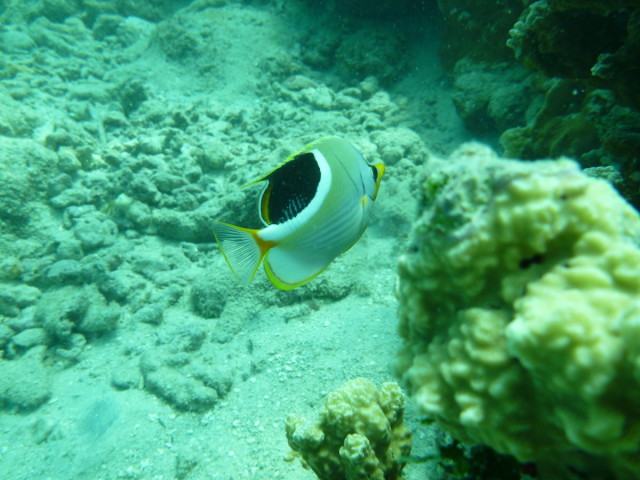 P1260541