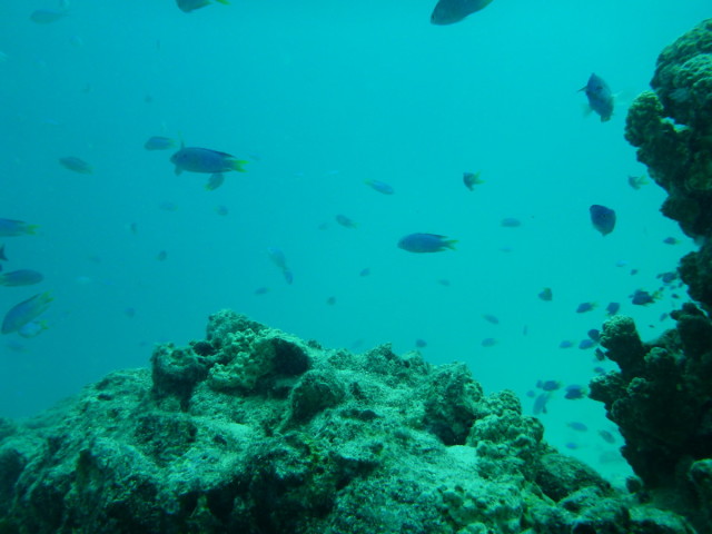 P1260562