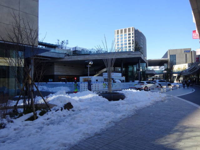 DSC07615