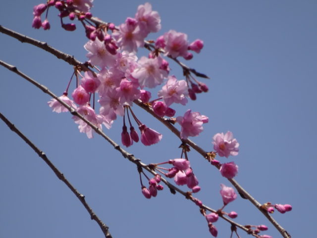 DSC02159