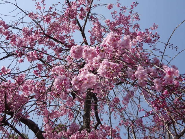 DSC02162