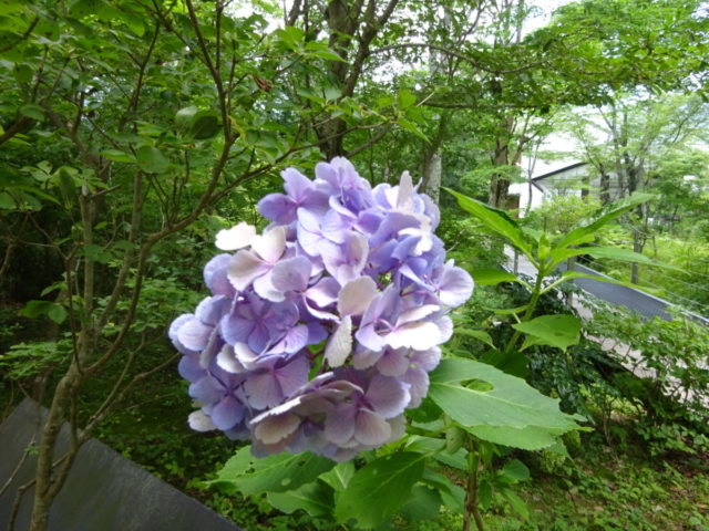 DSC08759