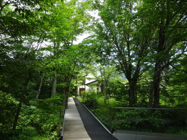 DSC08764