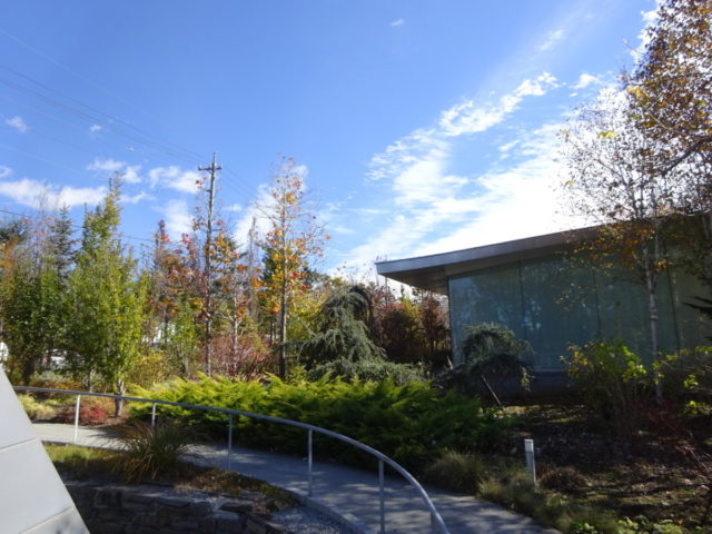 DSC02137