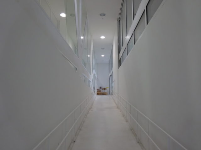 DSC00261